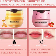 TIRDET bee lip balm honey pot with applicator for clean reapplication.