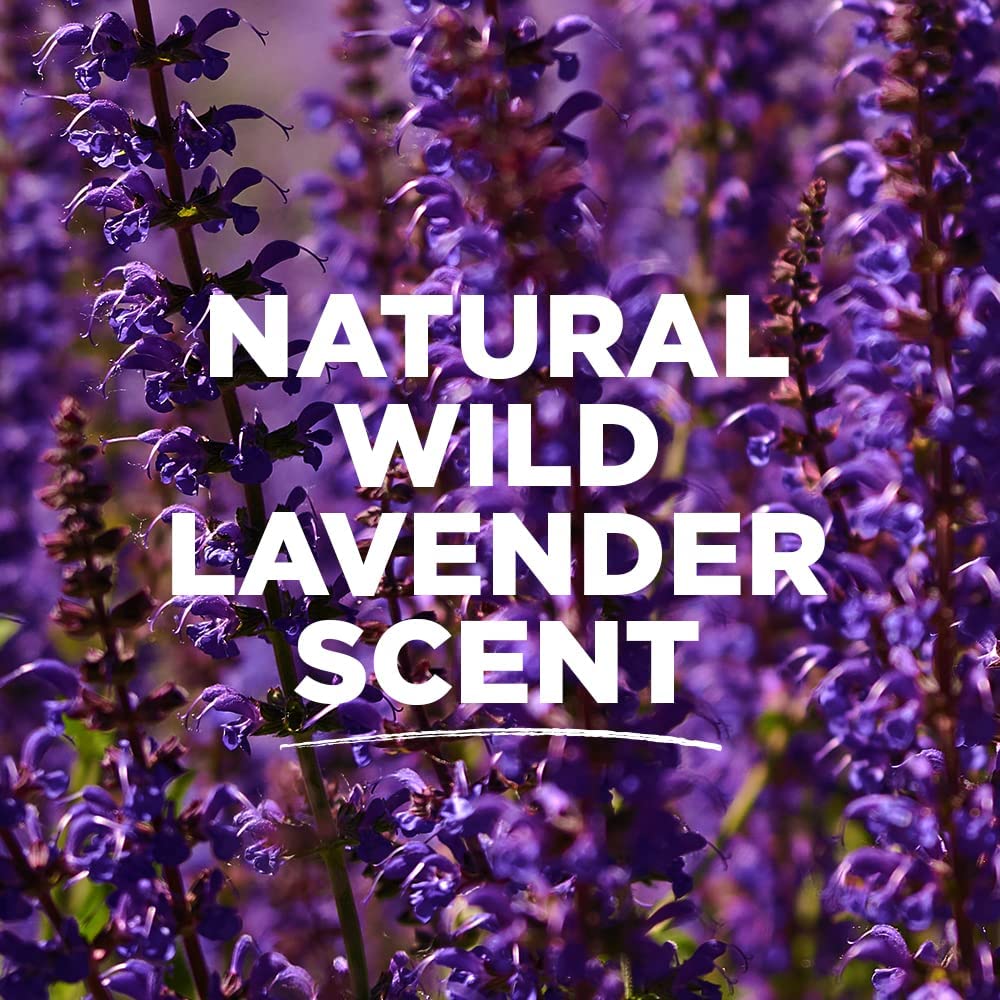 Tom's of Maine Lavender deodorant pack back label showing ingredients and cruelty-free claim