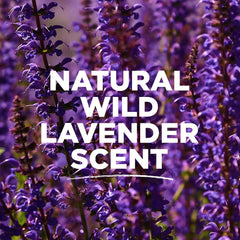 Tom's of Maine Lavender deodorant pack back label showing ingredients and cruelty-free claim