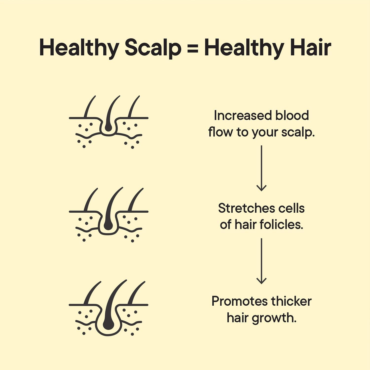 TOOLETRIES Scalp Scrubber gift-ready packaging