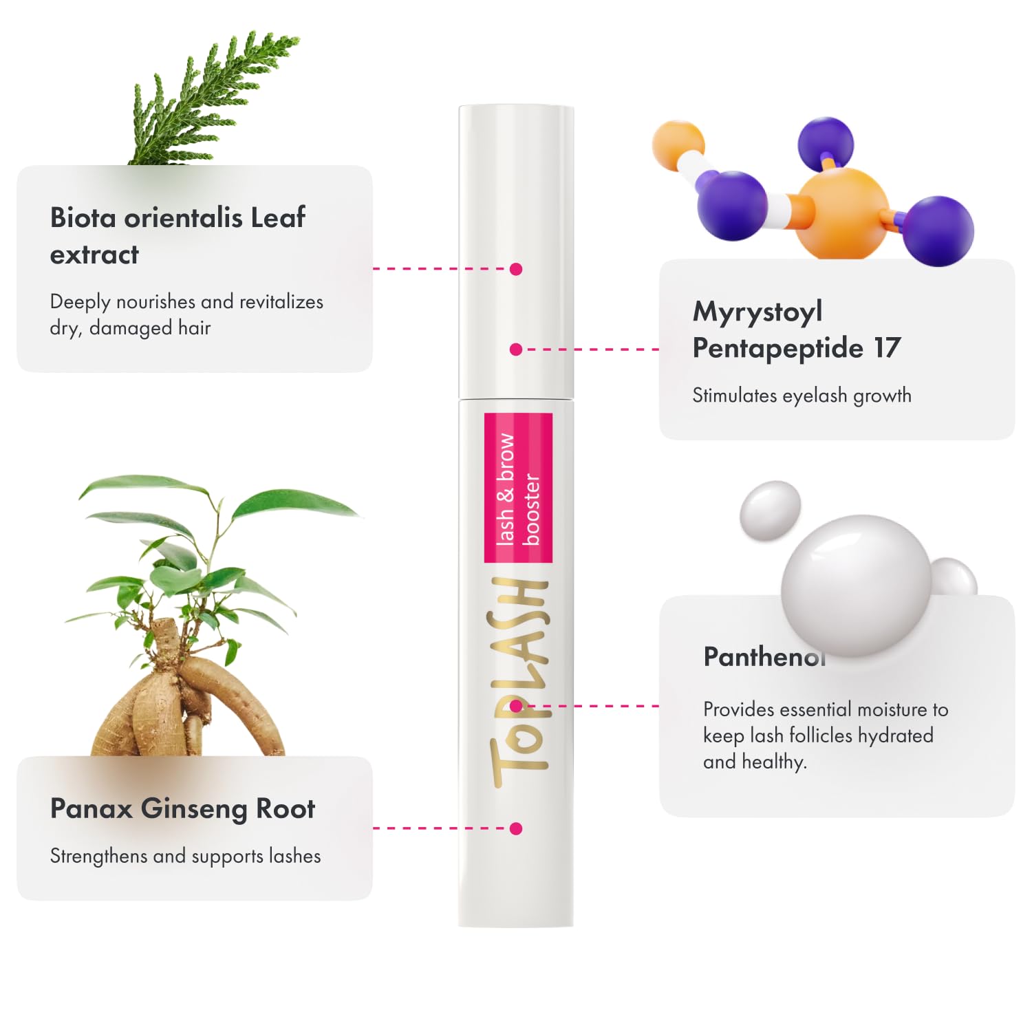 Toplash Eyelash Serum illustration shows fuller lashes and brows
