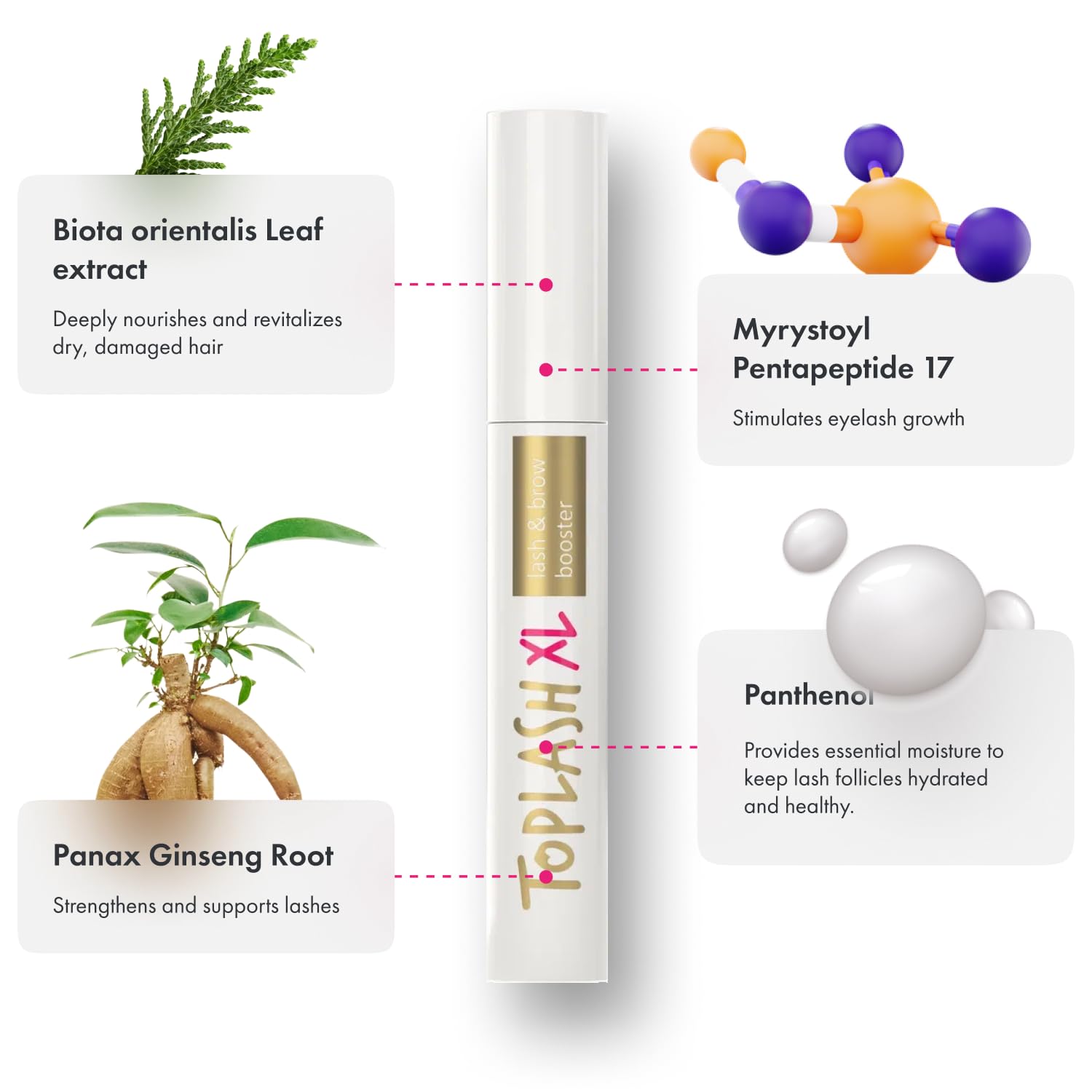 Toplash XL daily-use brush-on serum for stronger lashes and brows.