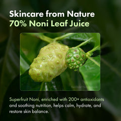 TOSOWOONG close-up noni leaf extract illustrating antioxidant power