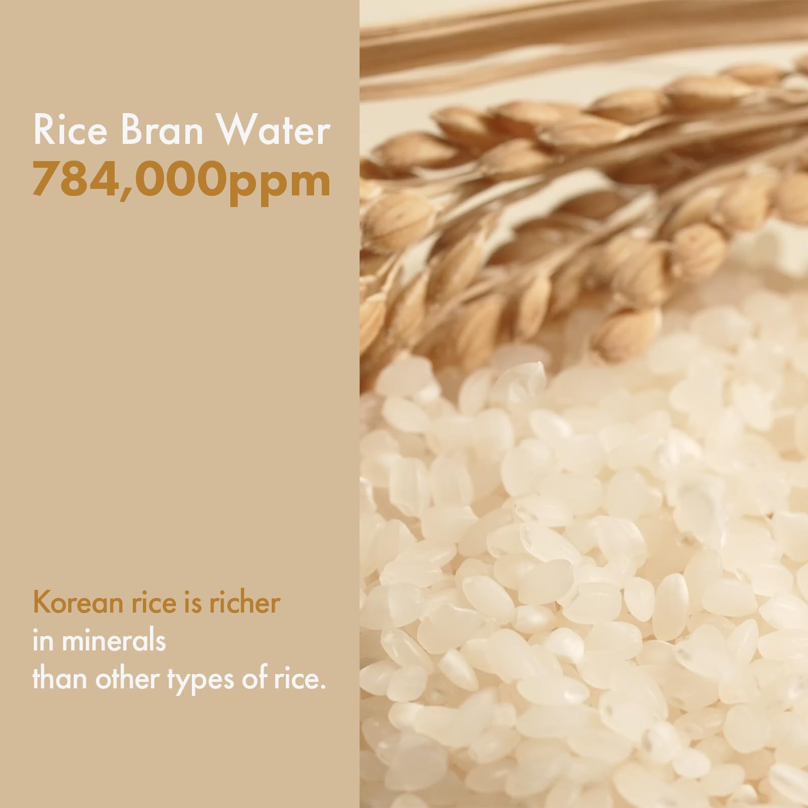 TOSOWOONG Rice Glow Milky Toner Niacinamide ingredient spotlight to brighten and even tone.