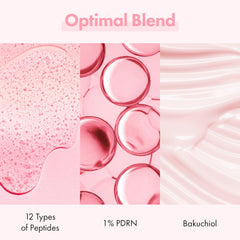 TOSOWOONG Salmon DNA PDRN graphic highlights renewal support for smoother, even-toned skin.
