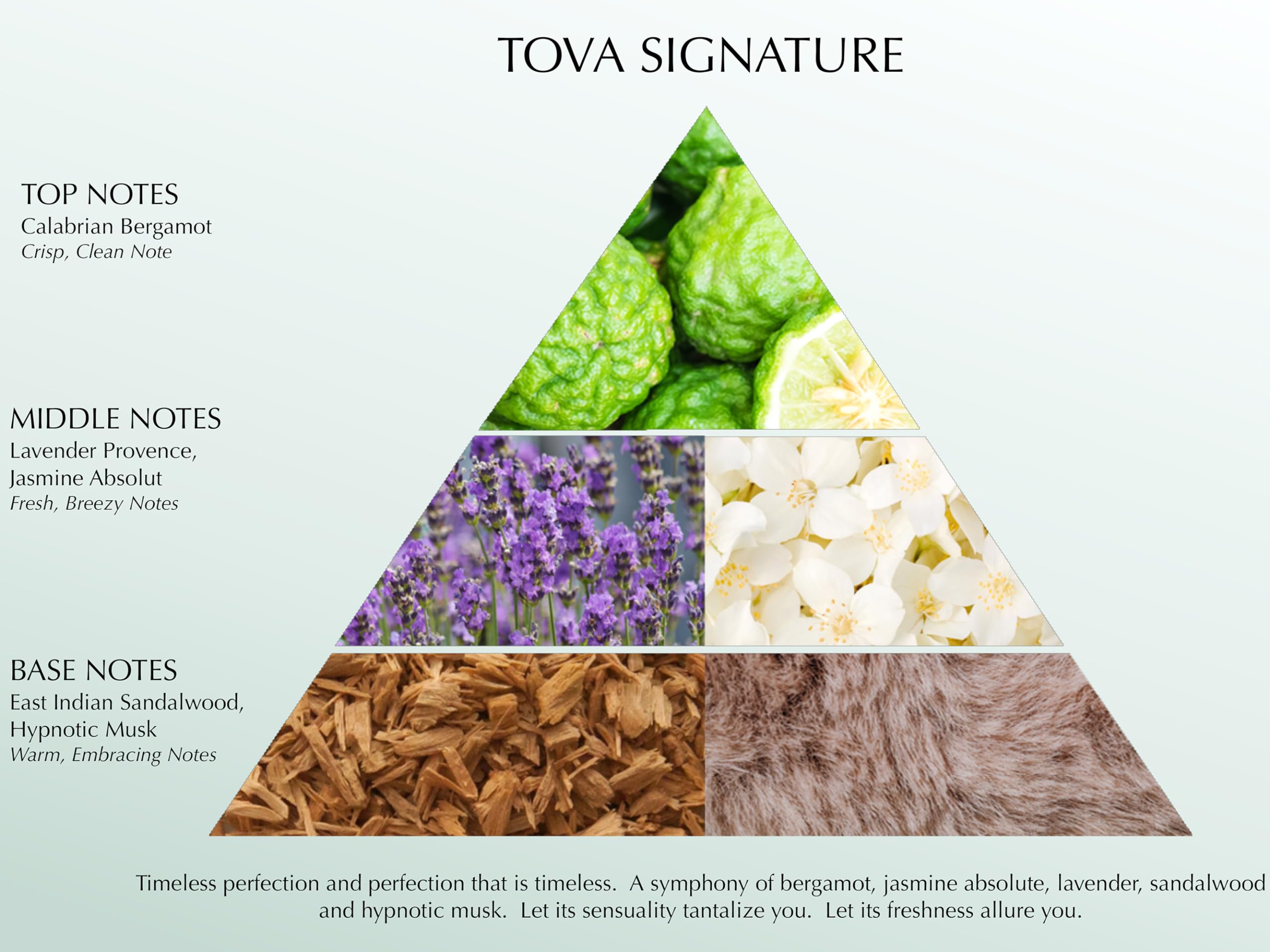 Tova Signature perfume glass-light image communicates refined aroma for confident wear every day