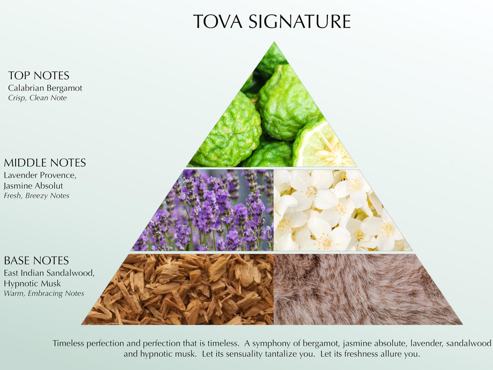 Tova Signature perfume glass-light image communicates refined aroma for confident wear every day