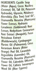 Trader Joe's Spa Face Wash with Tea Tree Oil—awapuhi and lavender notes for calming cleanse.