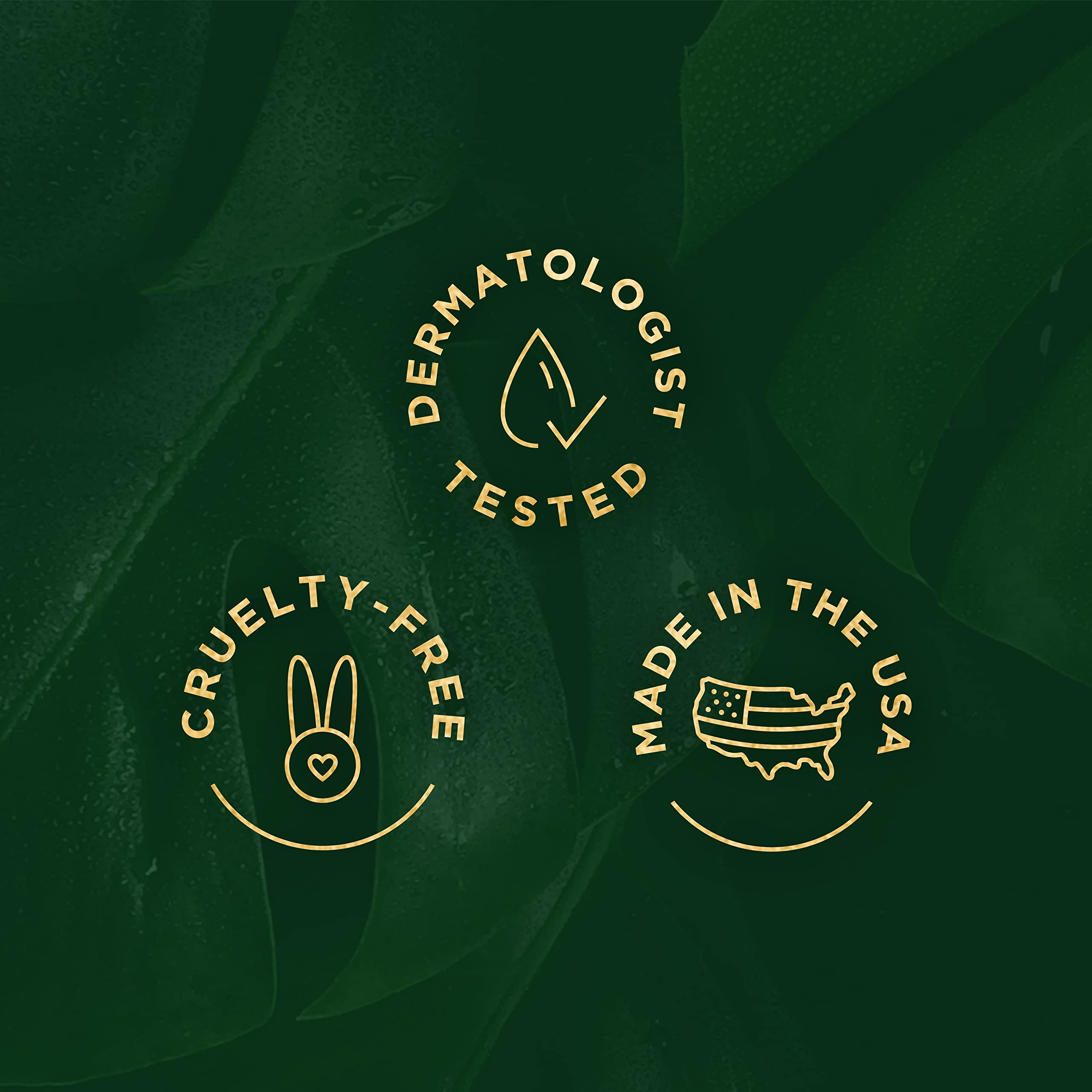 Tree of Life Beauty packaging shows travel-friendly jar for on-the-go routines.