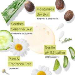 Tree to Tub aloe vera slices highlight cooling, hydrating skincare benefits