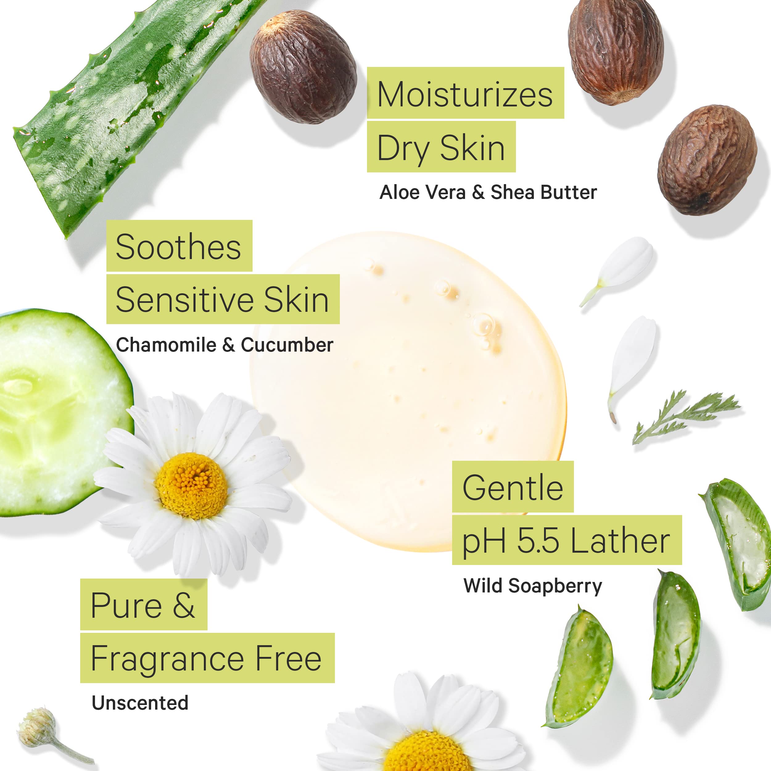 Tree to Tub soapberry cleansing image conveys natural cleansing with cucumber and chamomile.