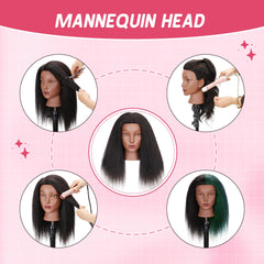 Treosida mannequin head braiding practice supports beginner hairdressing skills.