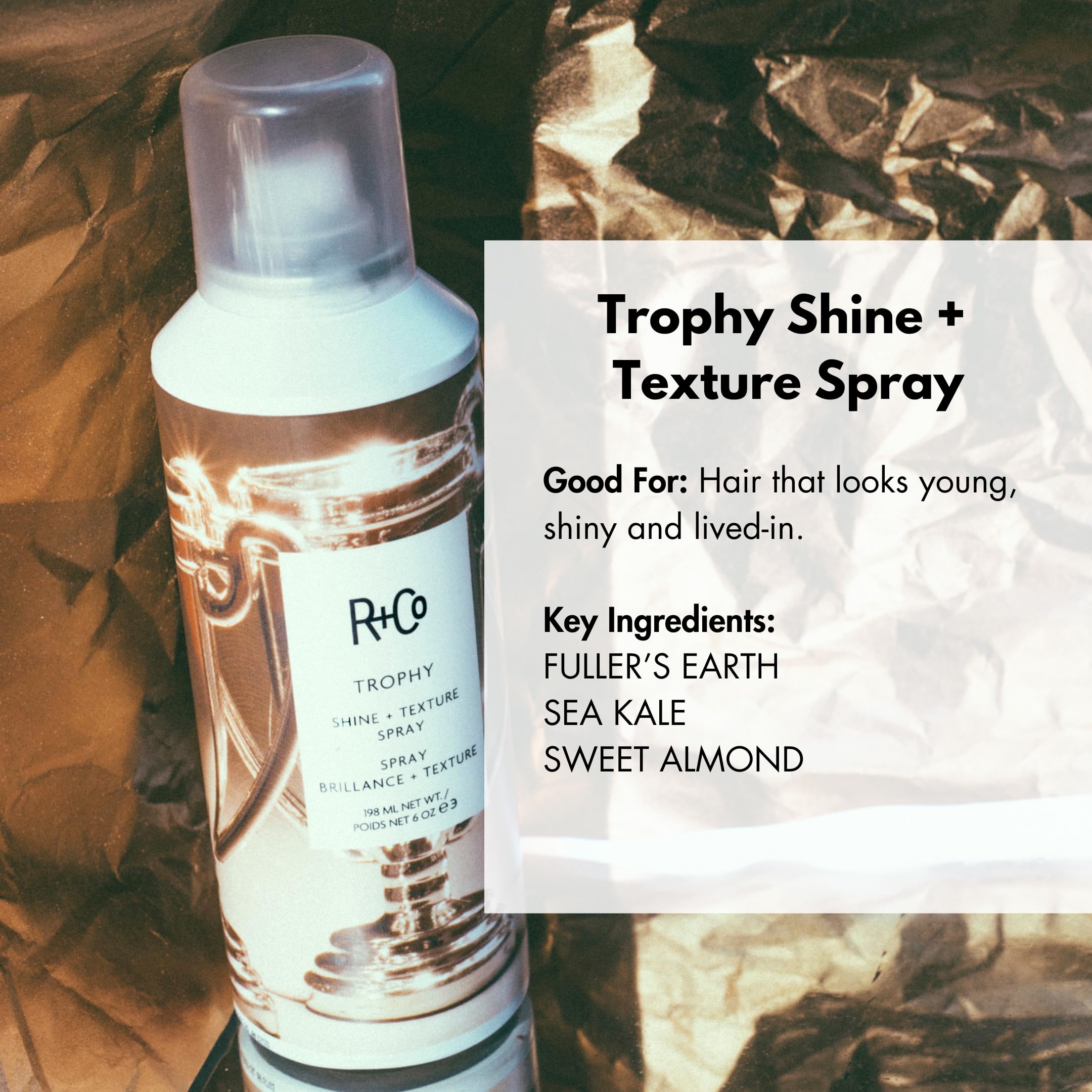 R+Co Trophy Shine Texture Spray misting illustration, suggesting texture and instant lift.