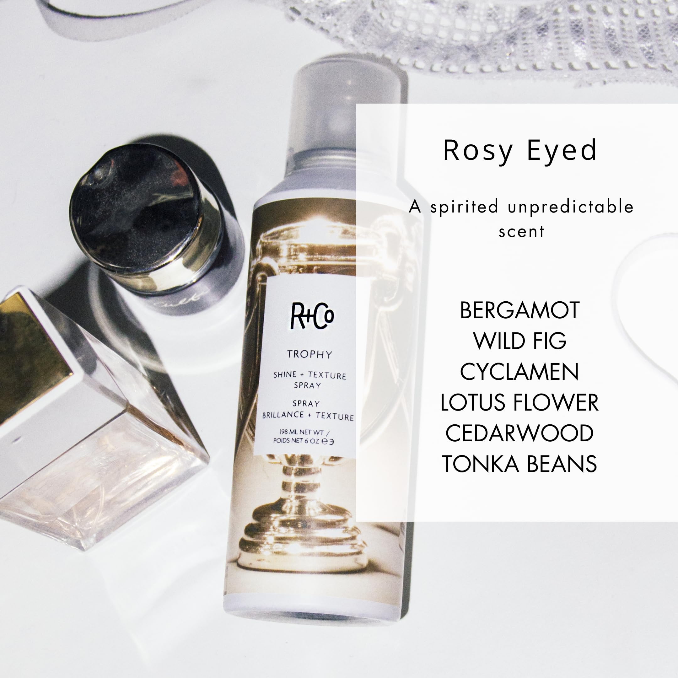 R+Co Trophy Shine Texture Spray moisture-glow on tangle-free strands.