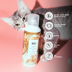 R+Co Trophy Shine Texture Spray texture-detail showing hair definition without heaviness.