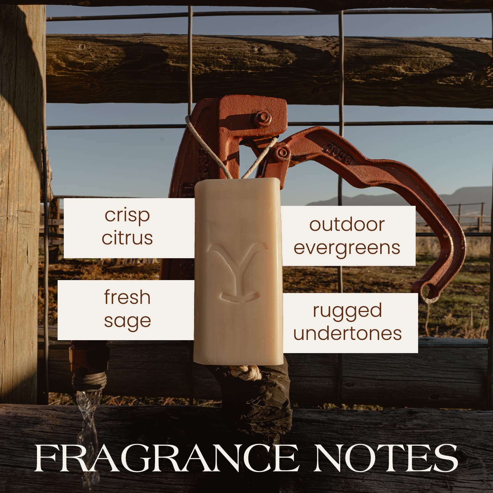 Tru Fragrance Beauty Yellowstone Bunkhouse Soap notes cedarwood and patchouli for rugged scent