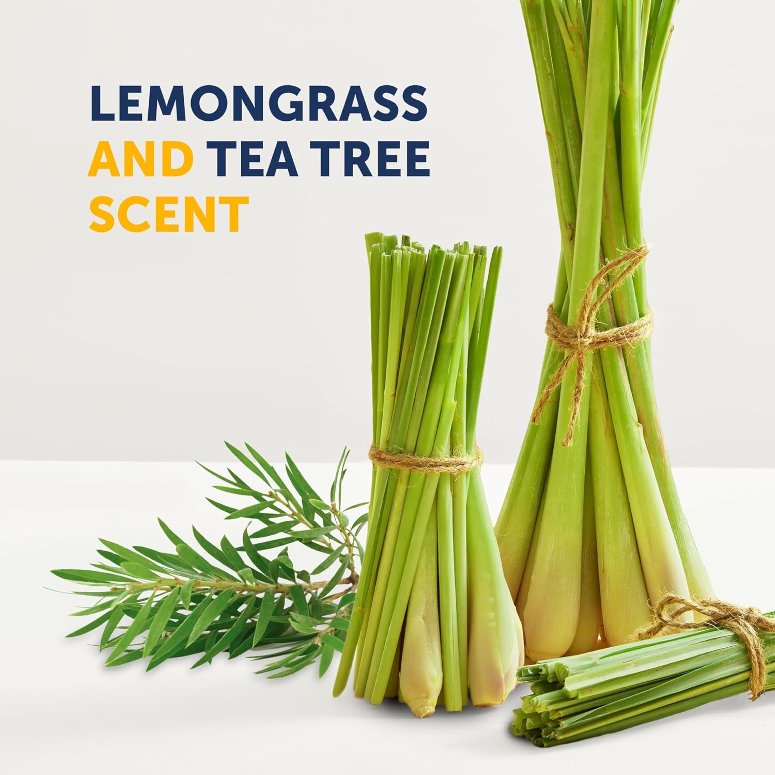 Truremedy Naturals Tea Tree Lemongrass Body Wash after-shower skin feel revitalized