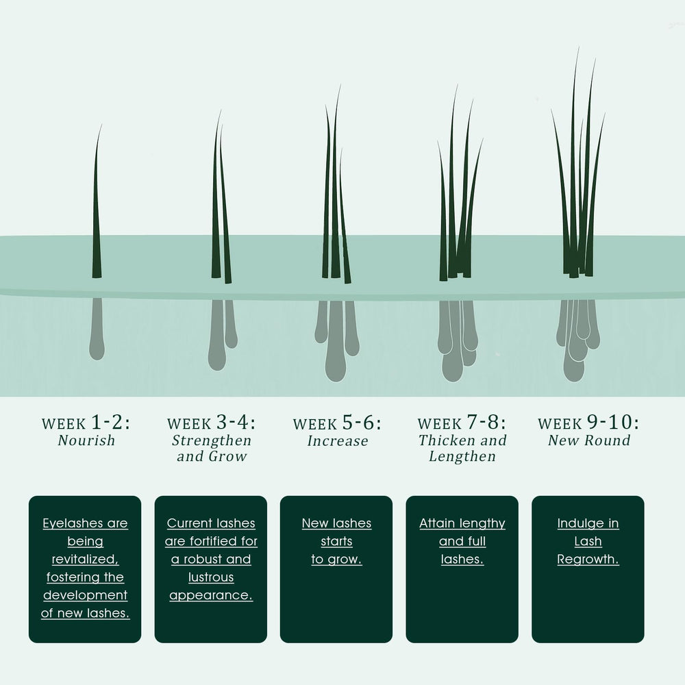 TUDPA lashes close-up after use suggesting length and fullness potential.