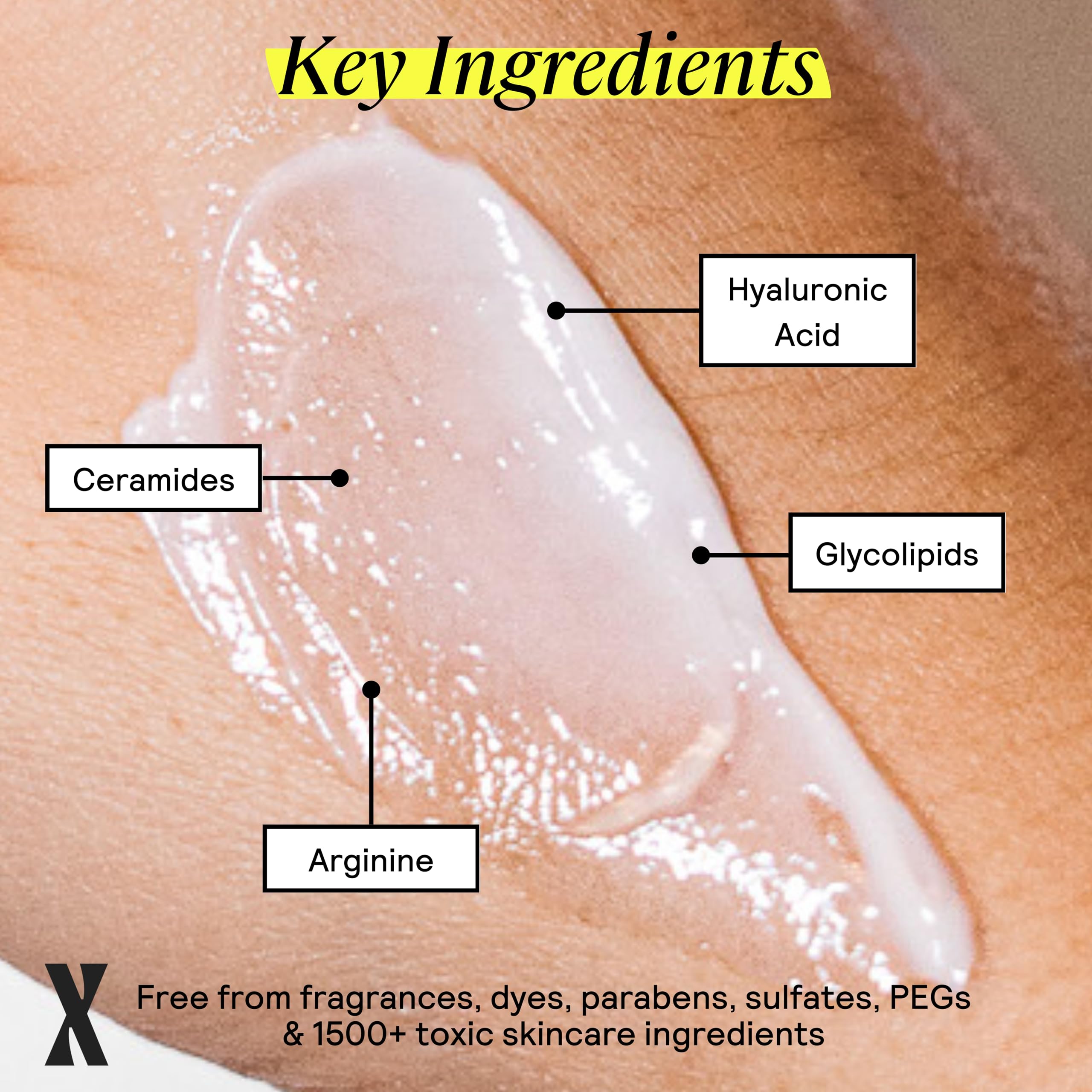 Untoxicated Moisturizing Lotion for daily use on face and body delivers lightweight hydration.