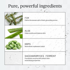 Ursa Major Forest Fix ingredients saccharomyces ferment support odor control.