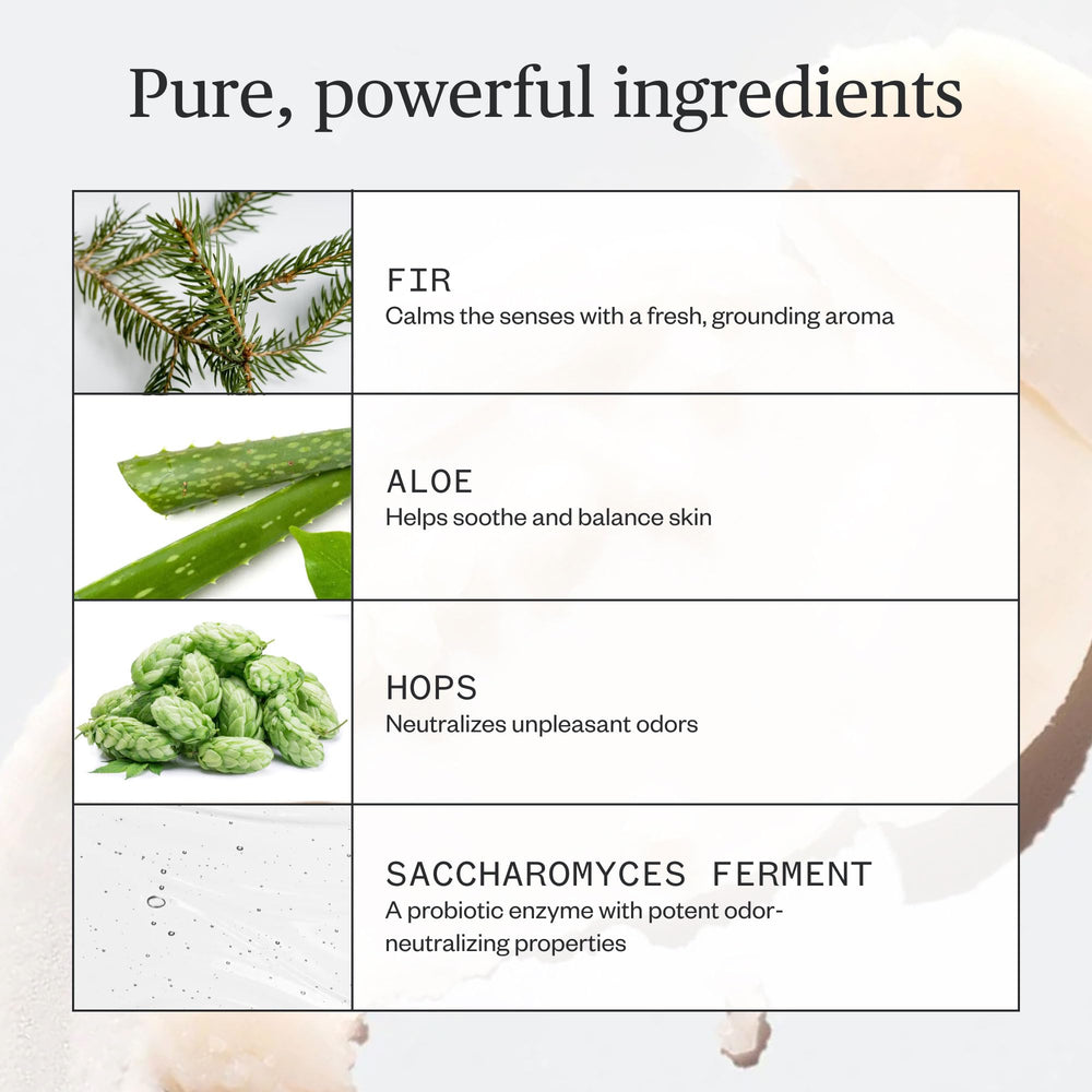 Ursa Major Forest Fix woodsy-aroma with citrus top note.