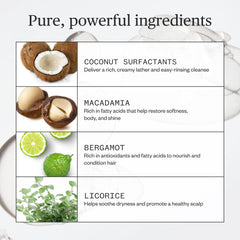 Ursa Major Go Easy Shampoo ingredients panel highlights natural nourishment