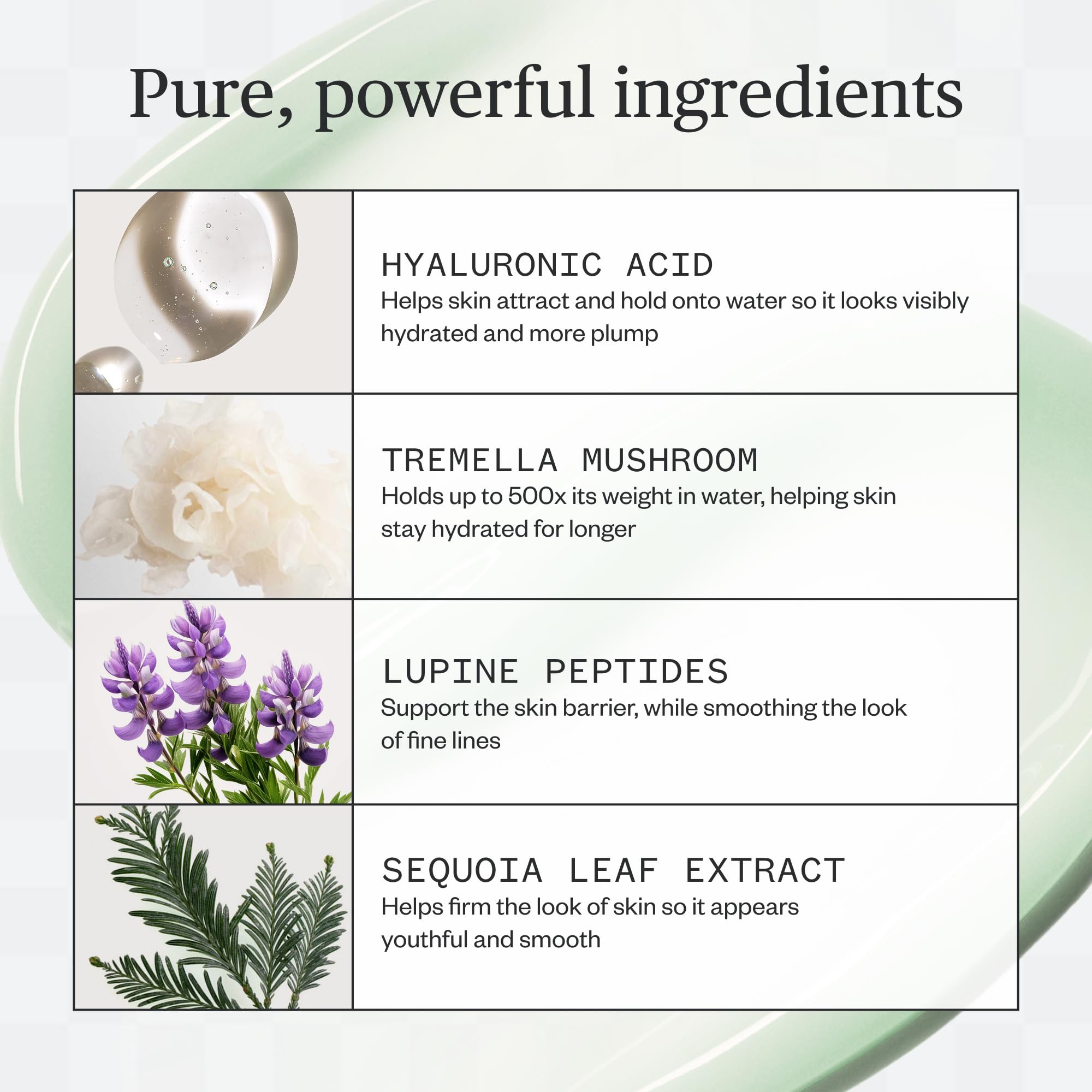 Ursa Major Tremella mushroom ingredient visual highlighting moisture retention benefits.