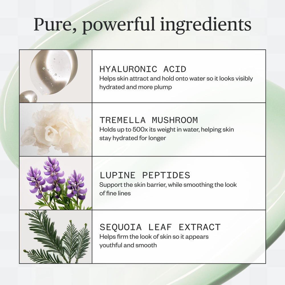 Ursa Major Tremella mushroom ingredient visual highlighting moisture retention benefits.