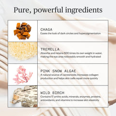 Ursa Major Forest Alchemy Eye Cream with wild birch smoothing under-eye skin.
