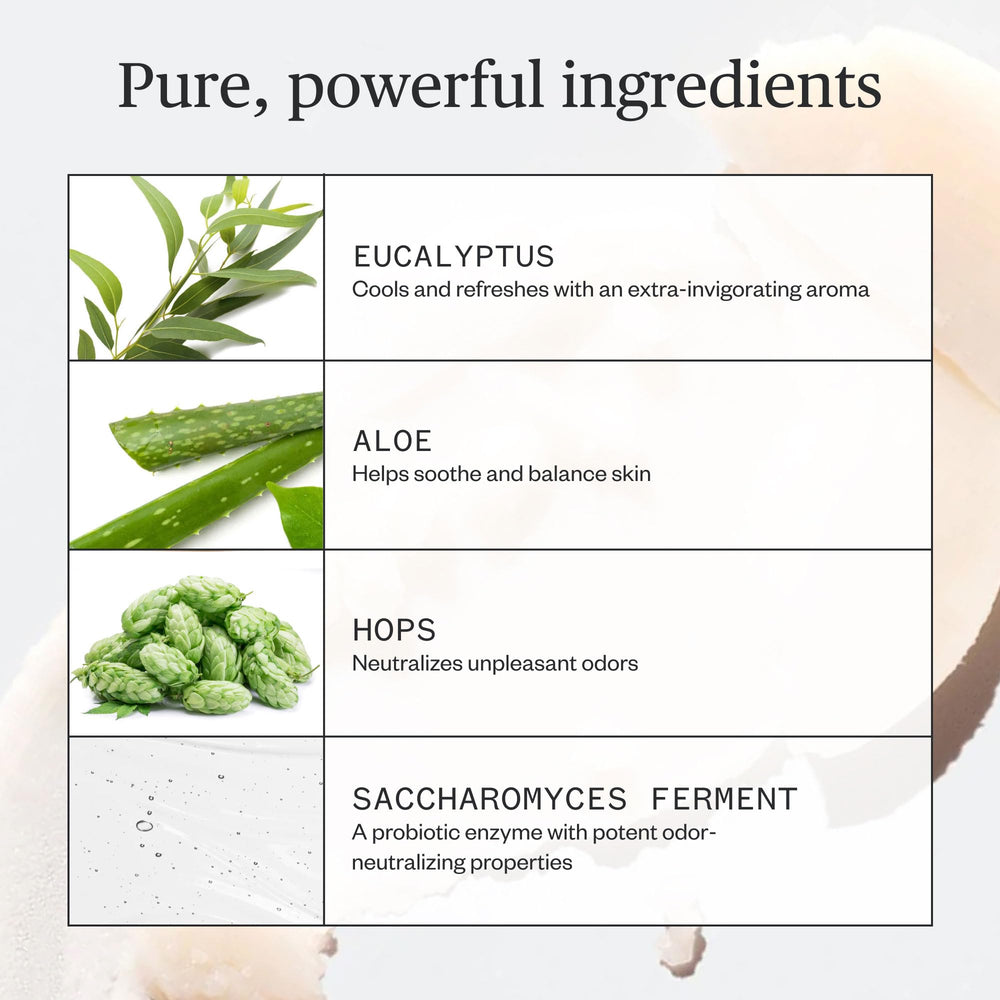 Ursa Major Hoppin' Fresh ingredients list image highlights hops, kaolin clay, aloe.