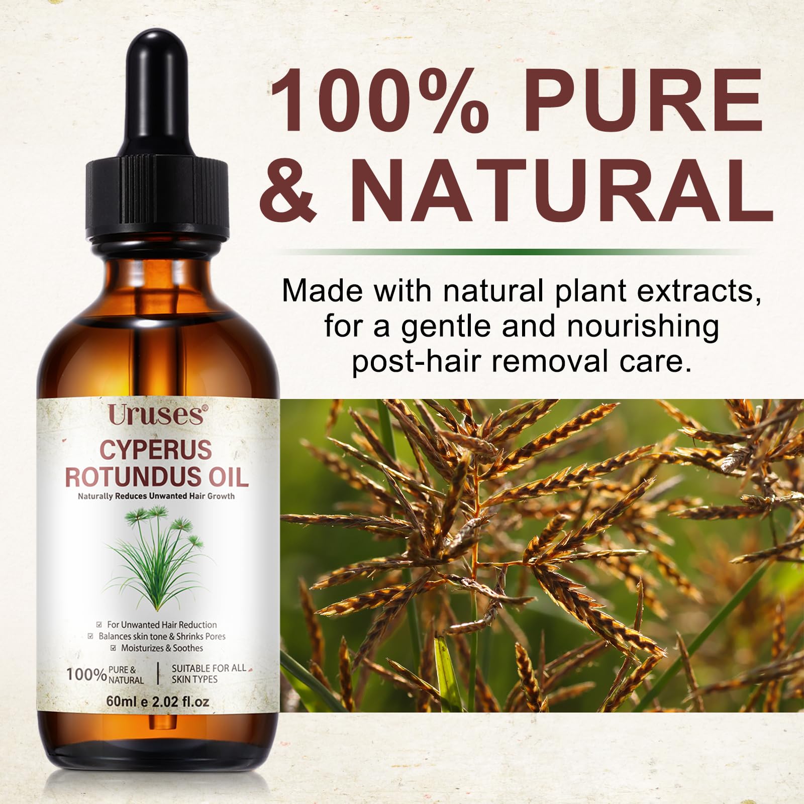 Uruses Cyperus Rotundus Oil pouring action showing smooth application and absorption.