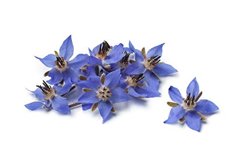 US Organic Borage Oil label close-up shows USDA Organic certification and GLA content