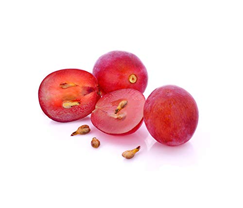 US Organic Grape Seed Oil dropper dispensing precise doses for non-greasy hydration.