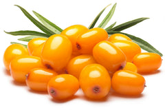 Dropper dispensing US Organic sea buckthorn oil for targeted skincare.