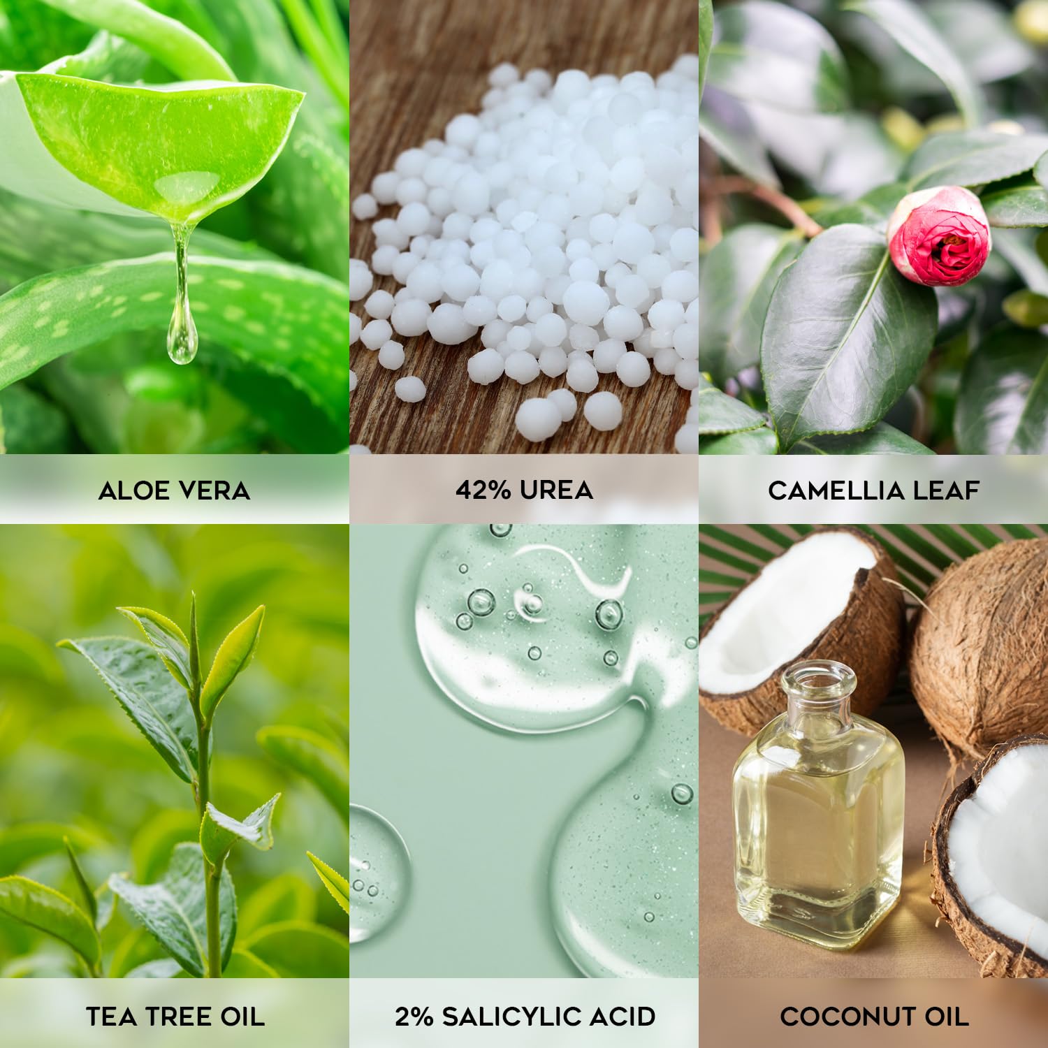 Vebuni Urea Cream packaging label highlights dermatologist-tested, medical-grade formula.