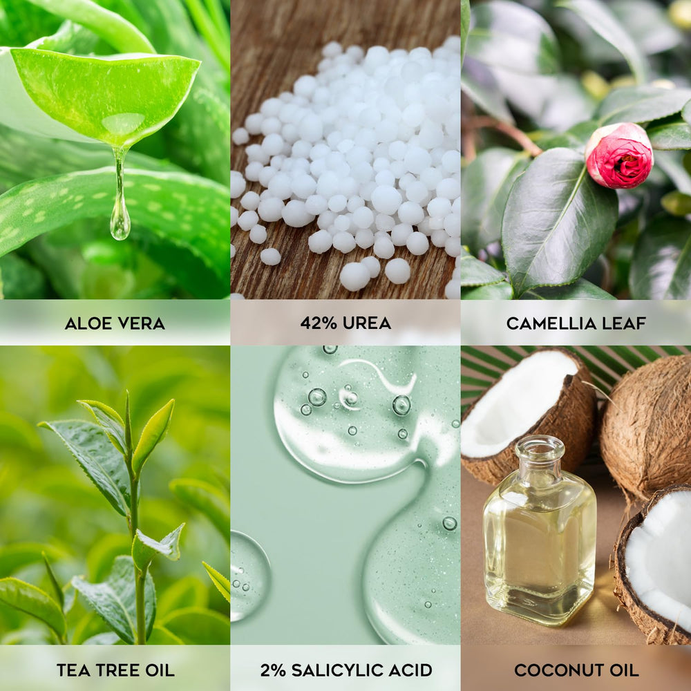 Vebuni Urea Cream packaging label highlights dermatologist-tested, medical-grade formula.