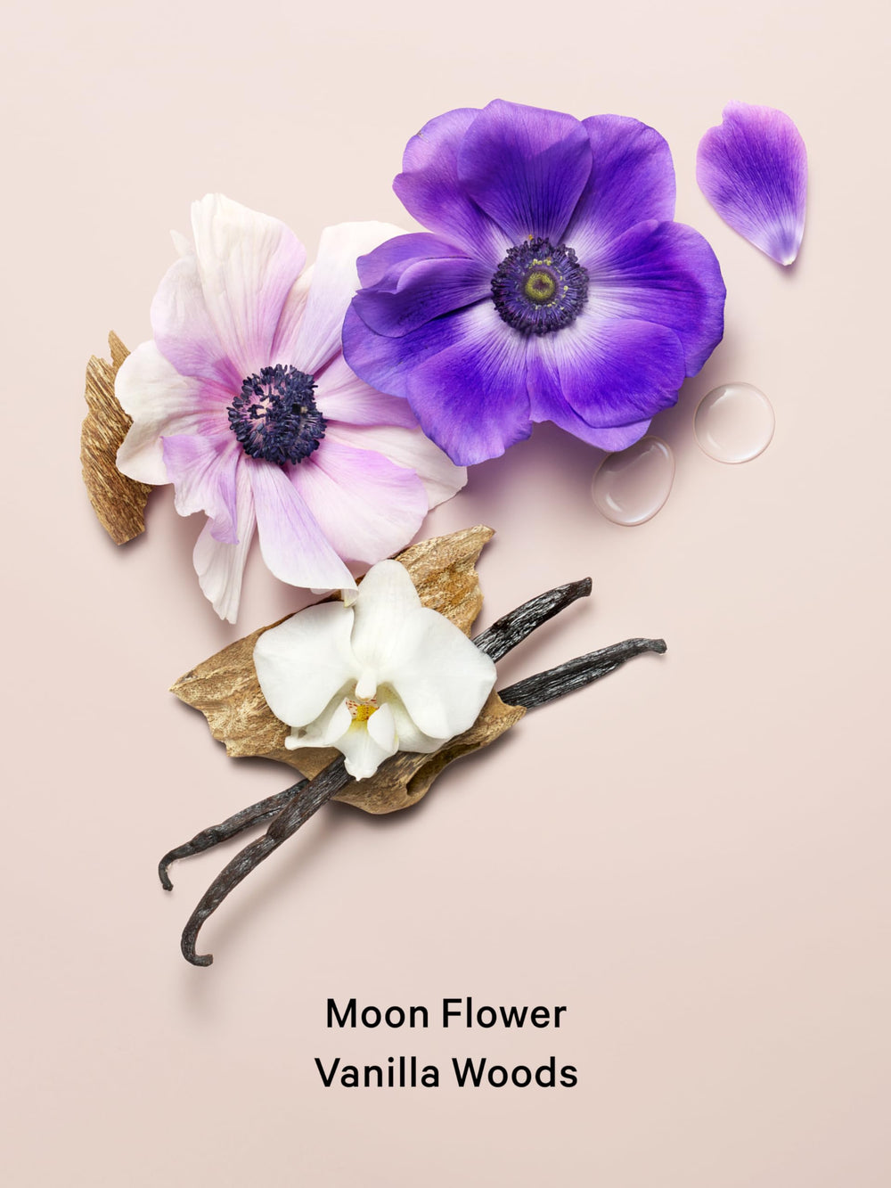 Victoria's Secret Midnight Bloom fragrance lotion texture close-up highlights fast-absorbing moisture.