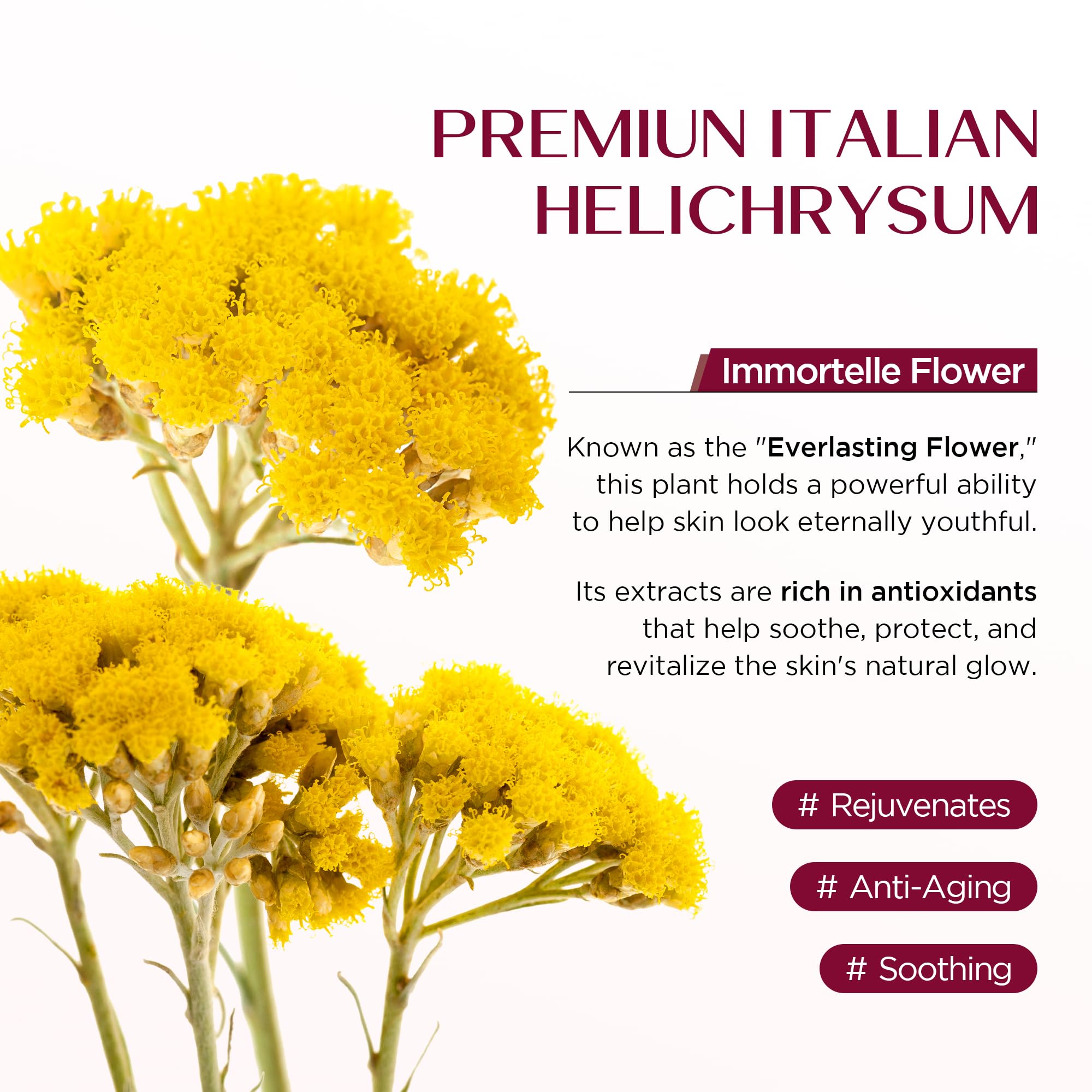 Vigority Helichrysum Balm ingredients: arnica and calendula for soothing relief.