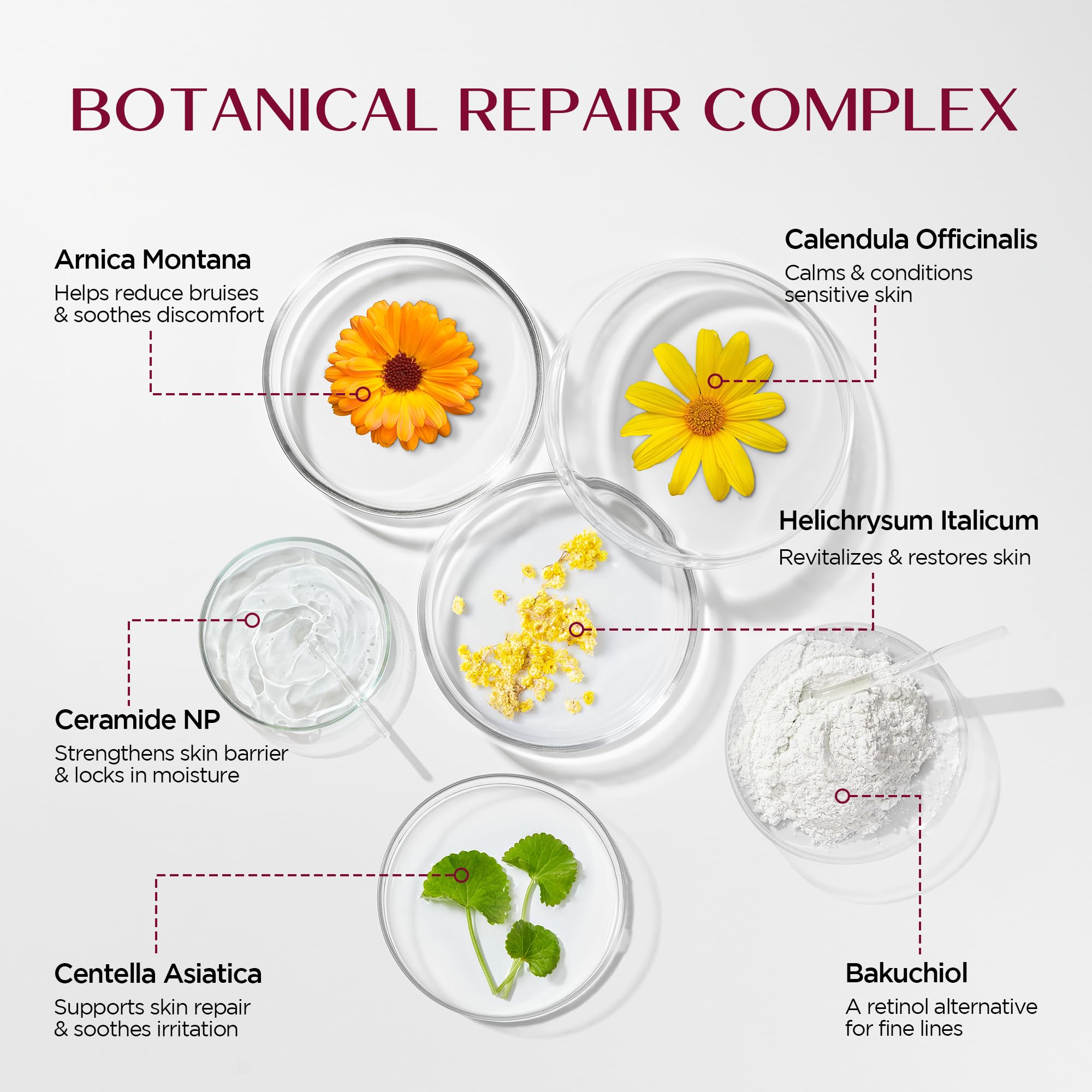 Vigority Helichrysum Balm calendula plant extract detail for gentle skin comfort.