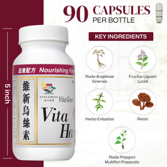 Vita Green Red Reishi Extract bottle highlights immune support and holistic wellness.
