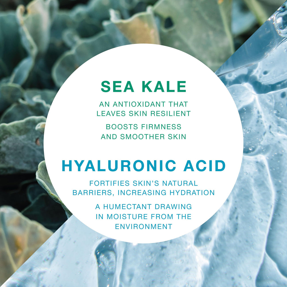 VITAMINS AND SEA BEAUTY hands applying serum for quick absorption under makeup.