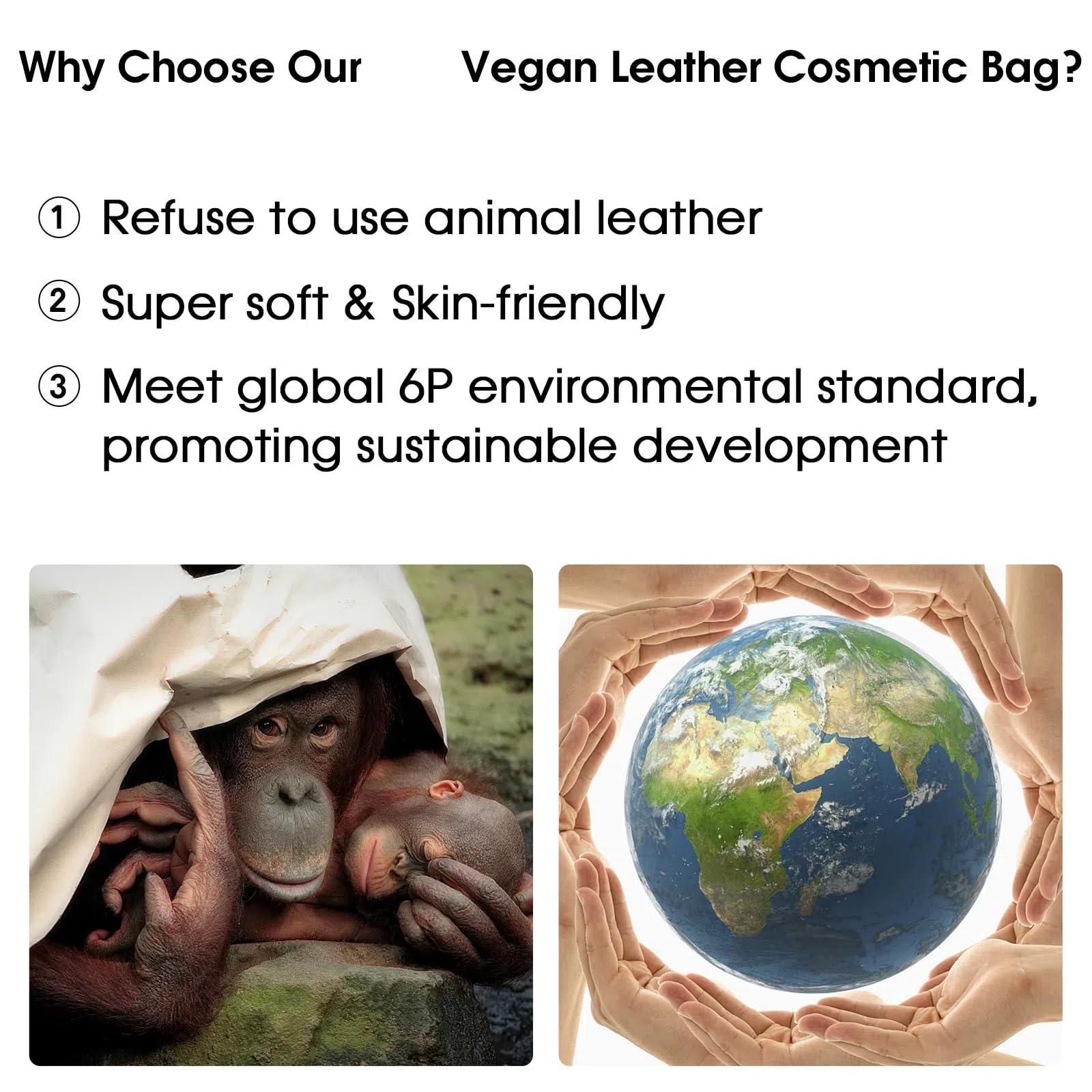 Wandering Nature makeup bag interior layout optimizes space for cosmetics and skincare