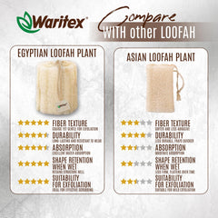 WARITEX 3-count pack front view for convenient family use.