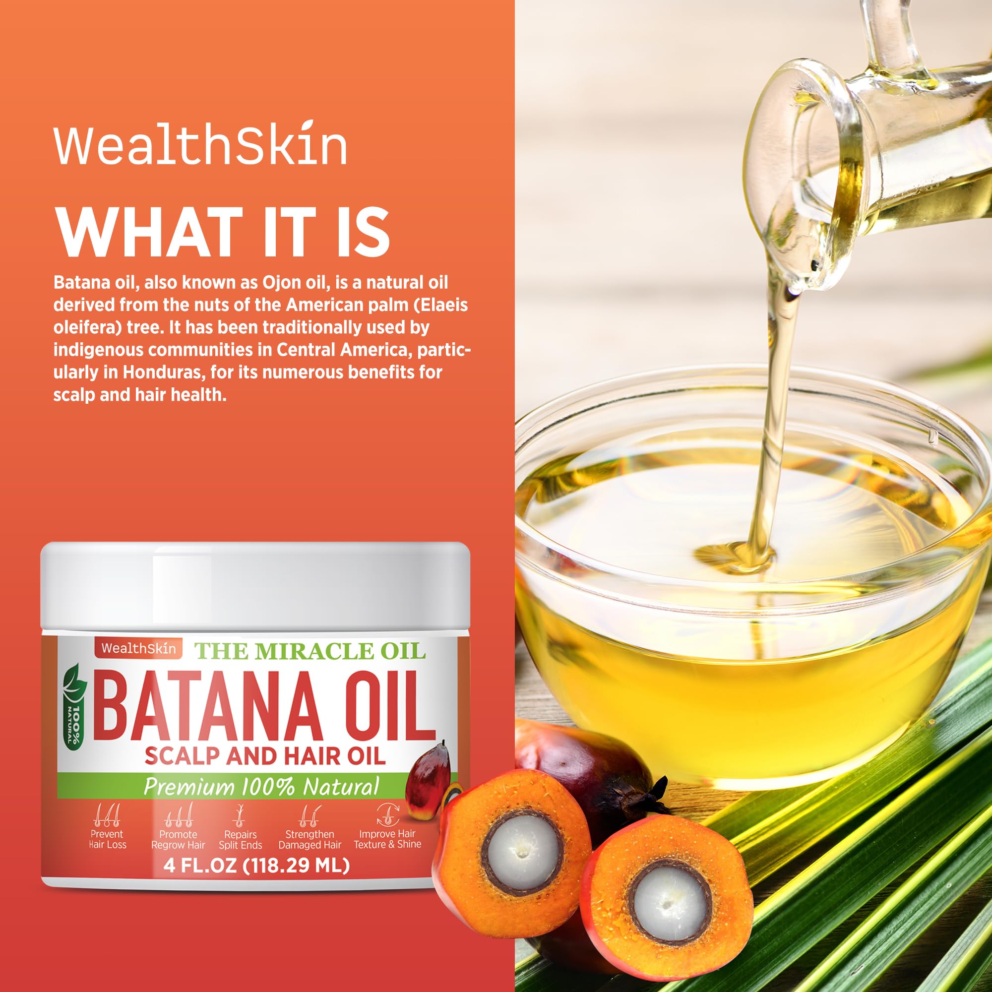 Wealthskin Batana Oil scalp massage scene.
