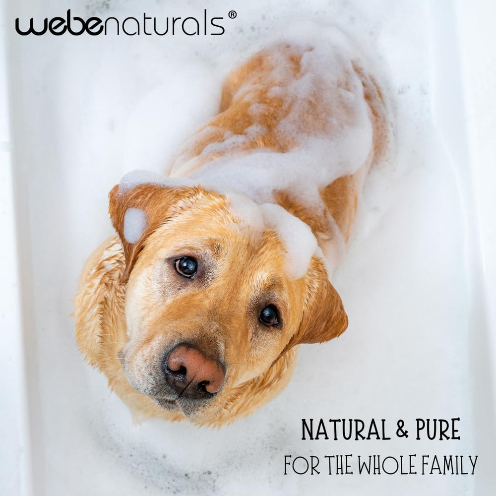 WEBE Pure Unscented Castile Organic Olive Oil note signals gentle skin balance.