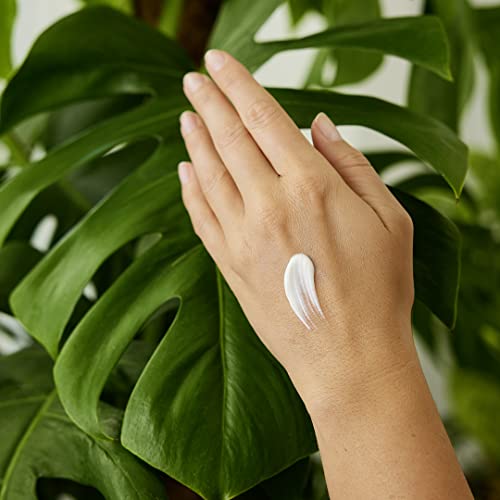 Weleda Regenerating Pomegranate Hand Cream sesame oil presence indicates soothing moisture.