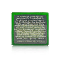 Weleda Skin Food Day Cream with olive leaf extract emphasizing plant-rich formulation