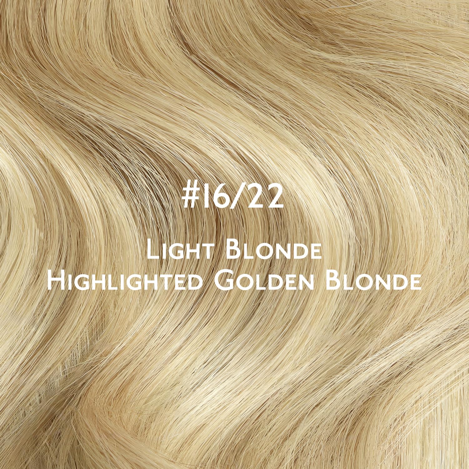 WENNALIFE full-head try-on visuals demonstrate potential volume and seamless blending.
