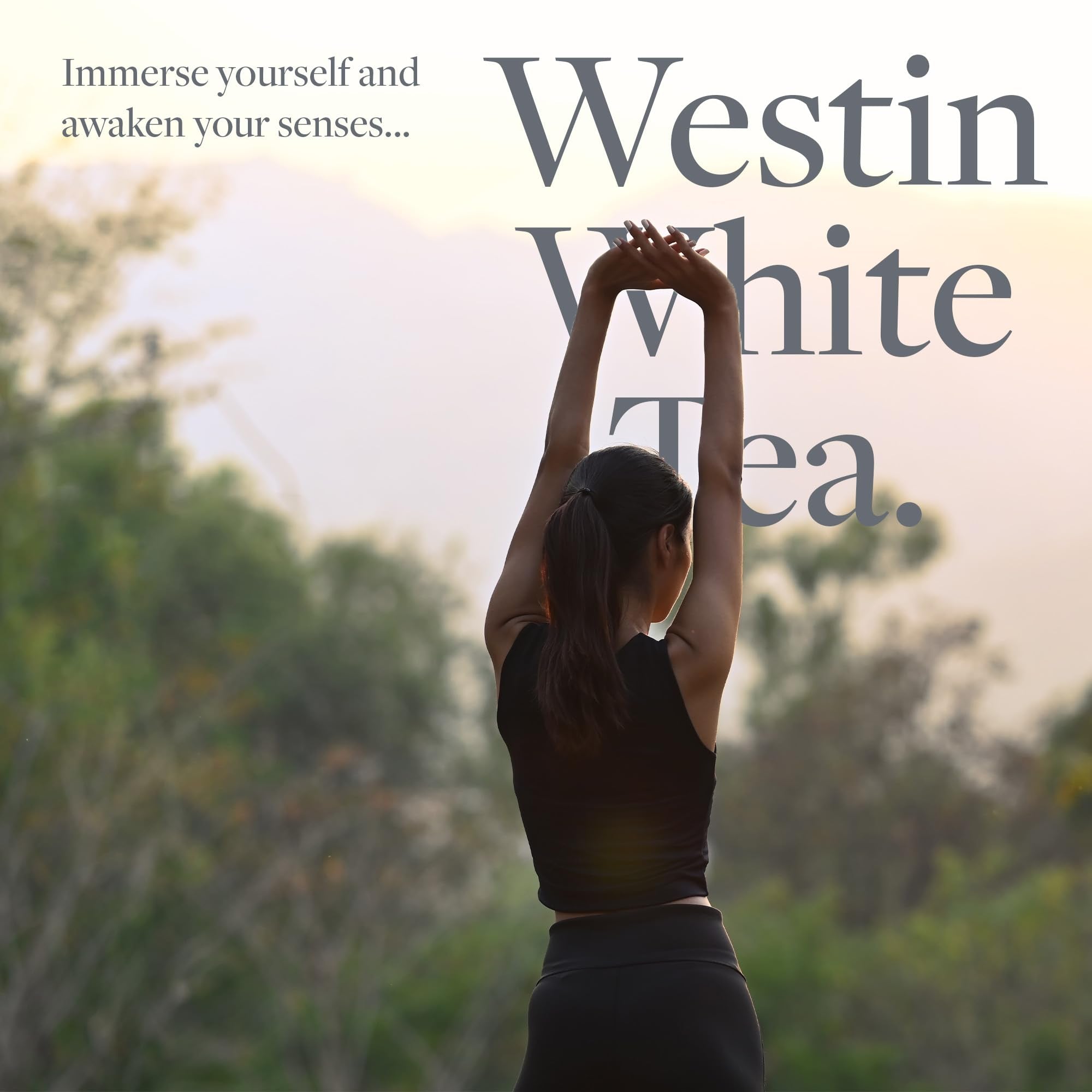 Westin White Tea Aloe Shampoo green tea ingredients spotlight nourishment for scalp.