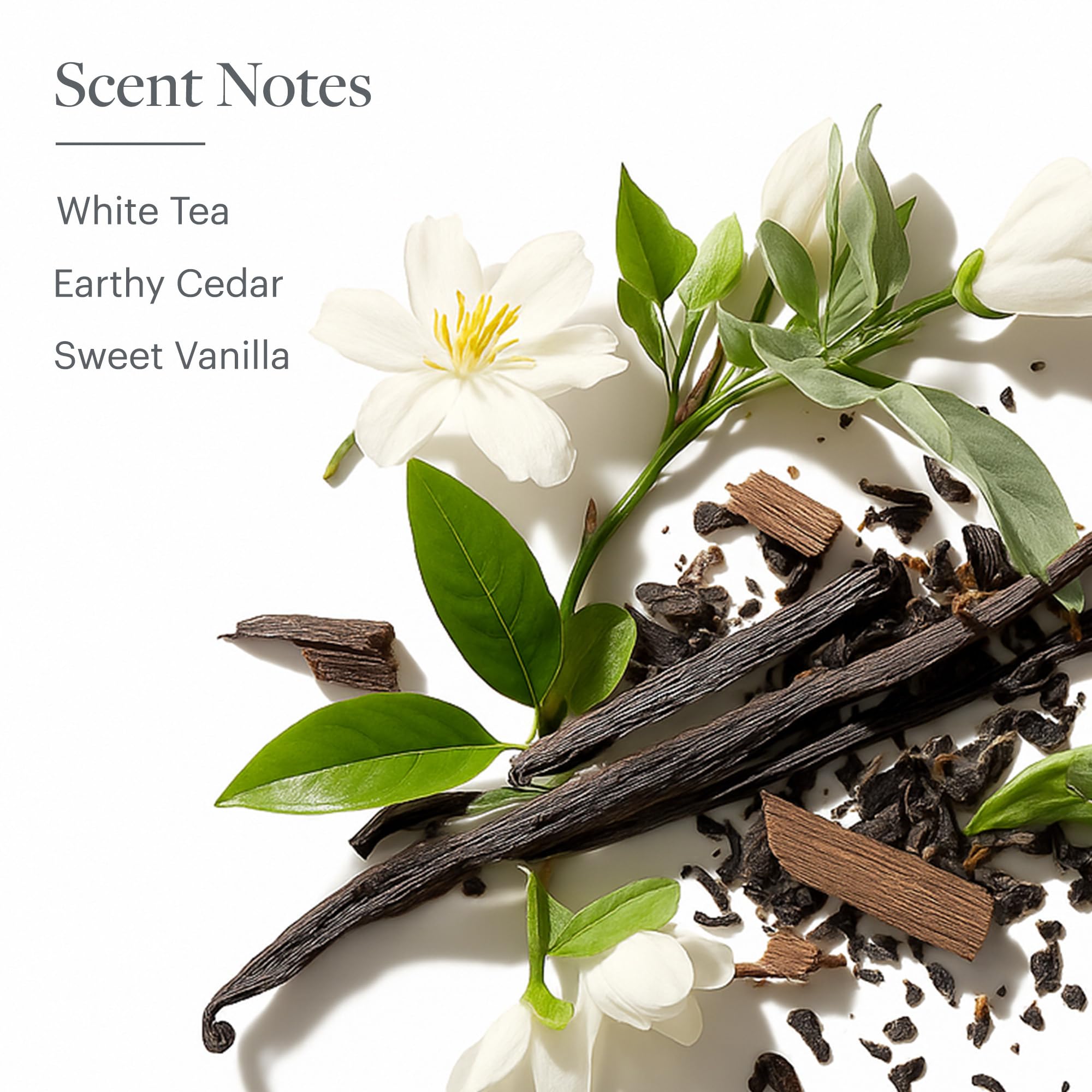 Westin White Tea Aloe Shampoo scent preview hints calming, refreshing aroma.